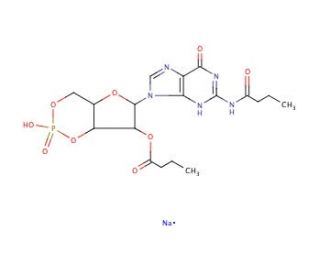 Dibutyryl-cGMP (CAS 51116-00-8) - chemical structure image