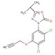 Diclosulam 的分子结构, CAS编号: 145701-21-9 Diclosulam (CAS 145701-21-9) - chemical structure image
