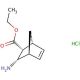 diendo-3-Amino-bicyclo[2.2.1]hept-5-ene-2-carboxylic acid ethyl ester hydrochloride (CAS 95630-74-3) - chemical structure ima