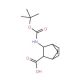 diendo-3-tert-Butoxycarbonylamino-bicyclo[2.2.1]hept-5-ene-2-carboxylic acid (CAS 148257-12-9) - chemical structure image