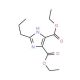 Diethyl 2-Propyl-1H-imidazole-4,5-dicarboxylate (CAS 144689-94-1) - chemical structure image