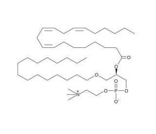 Dihomo-γ-Linolenoyl PAF C-16 (CAS 155575-01-2) - chemical structure image