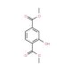 Dimethyl 2-Hydroxyterephthalate (CAS 6342-72-9) - chemical structure image