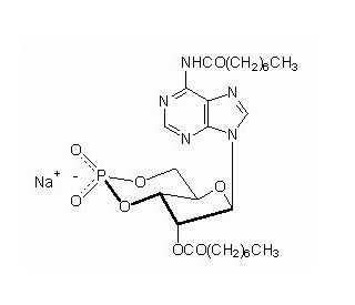 Dioctanoyl-cAMP, Na - chemical structure image