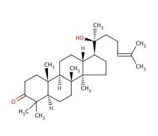 Dipterocarpol (CAS 471-69-2) - chemical structure image