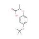 DL-2-[4-(Trifluoromethoxy)phenoxy]propionic acid (CAS 175204-35-0) - chemical structure image