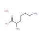 DL-Lysine monohydrate (CAS 885701-25-7) - chemical structure image