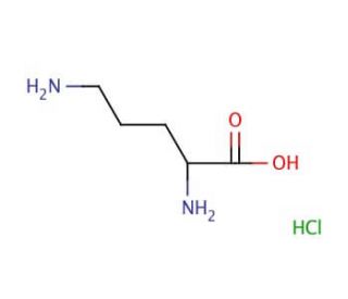 DL-Ornithine monohydrochloride (CAS 1069-31-4) - chemical structure image