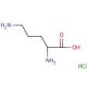 DL-Ornithine monohydrochloride (CAS 1069-31-4) - chemical structure image