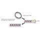 DNA pol epsilon B siRNA and shRNA Plasmids (m) - DICER processes dsRNA leaving a two nucleotide long 3' overhang