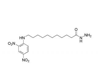DNP-AU-hydrazide - chemical structure image