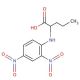 DNP-DL-norvaline (CAS 31356-37-3) - chemical structure image