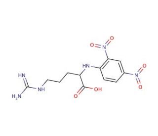 DNP-L-arginine (CAS 1602-42-2) - chemical structure image