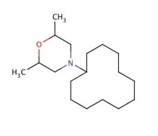 Dodemorph (CAS 1593-77-7) - chemical structure image