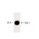 Dok-1 Antibody (45) - Western Blotting - Image 60286