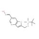 (E)-2-((tert-Butyldimethylsilyloxy)methyl)-furo[3,2-b]pyridine-6-carbaldehyde oxime (CAS 1189170-70-4) - chemical structure i