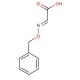 [(E)-Benzyloxyimino]-acetic acid (CAS 41928-70-5) - chemical structure image