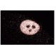 eIF5 Antibody (20) - Immunofluorescence - Image 60582