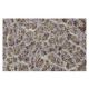 Elastase-3A Antibody (14-3) - Immunohistochemistry - Image 36060