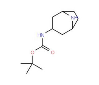Endo-3-Boc-amino-8-azabicyclo[3.2.1]octane (CAS 287114-25-4) - chemical structure image