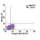 Endoglin/CD105 Antibody (MJ7/18) - Flow Cytometry - Image 5942 