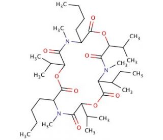 Enniatin A (CAS 2503-13-1) - chemical structure image