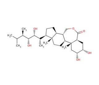 Epibrassinolide (CAS 78821-43-9) - chemical structure image