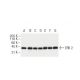 ERK 2 Antibody (6H3) - Western Blotting - Image 62904