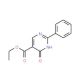 Ethyl 1,6-dihydro-6-oxo-2-phenylpyrimidine-5-carboxylate (CAS 55613-22-4) - chemical structure image