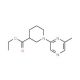 Ethyl 1-(6-methylpyrazin-2-yl)piperidine-3-carboxylate (CAS 926921-61-1) - chemical structure image