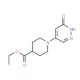 Ethyl 1-(6-oxo-1,6-dihydro-4-pyridazinyl)-4-piperidine carboxylate (CAS 1000018-23-4) - chemical structure image