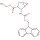 Ethyl (1R*,2R*,3R*,5S*)-2-(9-fluorenylmethoxycarbonylamino)-6-oxa-bicyclo[3.1.0]hexane-3-carboxylate (CAS 959745-77-8) - chem
