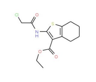 Ethyl 2-[(2-chloroacetyl)amino]-4,5,6,7-tetrahydro-1-benzothiophene-3-carboxylate (CAS 60442-41-3) - chemical structure image