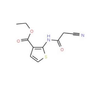 Ethyl 2-[(cyanoacetyl)amino]thiophene-3-carboxylate - chemical structure image