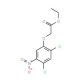Ethyl 2-(2,4-dichloro-5-nitrophenoxy)acetate - chemical structure image