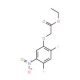 Ethyl 2-(2,4-difluoro-5-nitrophenoxy)acetate - chemical structure image