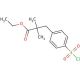 Ethyl 2,2-Dimethyl-3-(4-chlorosulfonylphenyl)propionate (CAS 887355-04-6) - chemical structure image