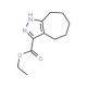 Ethyl 2,4,5,6,7,8-hexahydrocyclohepta[c]pyrazole-3-carboxylate - chemical structure image