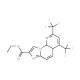 Ethyl 2,4-bis(trifluoromethyl)imidazo-[1,2-a][1,8]naphthyridine-8-carboxylate - chemical structure image