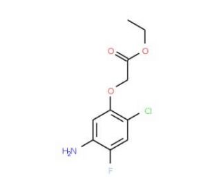 Ethyl 2-(5-amino-2-chloro-4-fluorophenoxy)acetate (CAS 91920-52-4) - chemical structure image