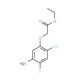 Ethyl 2-(5-amino-2-chloro-4-fluorophenoxy)acetate (CAS 91920-52-4) - chemical structure image