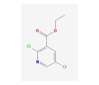 Ethyl 2,5-dichloronicotinate (CAS 148065-10-5) - chemical structure image
