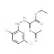 Ethyl 2-(acetylamino)-2-[2-(2,5-dichlorophenyl)-hydrazono]acetate - chemical structure image
