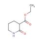 Ethyl 2-oxo-3-piperidinecarboxylate (CAS 3731-16-6) - chemical structure image