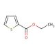 Ethyl 2-thiophenecarboxylate (CAS 2810-04-0) - chemical structure image