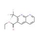 Ethyl 2-(trifluoromethyl)-1,8-naphthyridine-3-carboxylate (CAS 252959-76-5) - chemical structure image