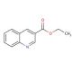 Ethyl 3-quinolinecarboxylate 的分子结构, CAS编号: 50741-46-3 Ethyl 3-quinolinecarboxylate (CAS 50741-46-3) - chemical structure image