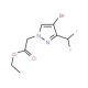 Ethyl [4-bromo-3-(difluoromethyl)-1H-pyrazol-1-yl]acetate - chemical structure image