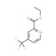 Ethyl 4-(trifluoromethyl)-2-pyridinecarboxylate (CAS 1171919-08-6) - chemical structure image
