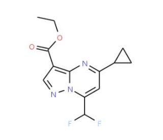 Ethyl 5-cyclopropyl-7-(difluoromethyl)pyrazolo-[1,5-a]pyrimidine-3-carboxylate - chemical structure image